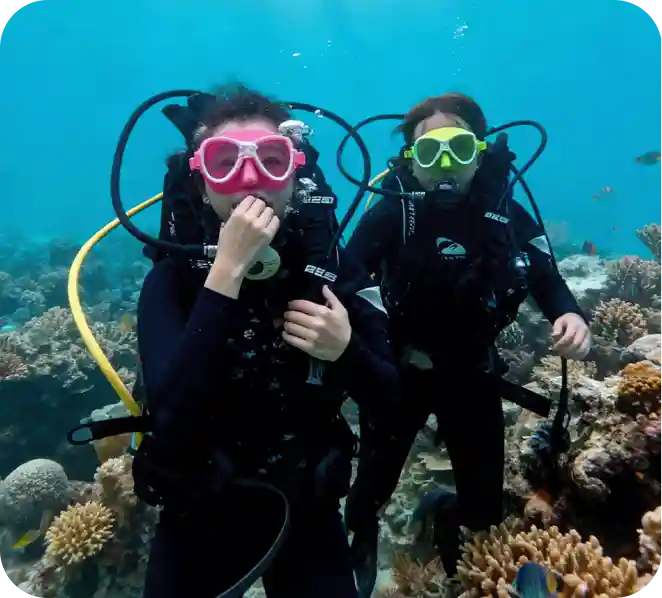 Diving menyelami keindahan bawah laut bersama Govana Adventure