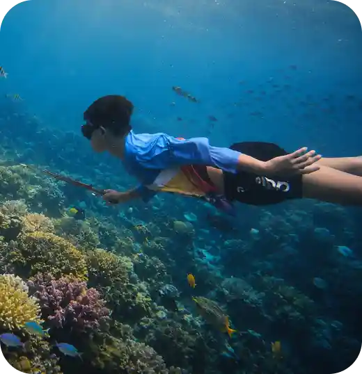 Snorkeling menikmati keindahan laut bersama Govana Adventure