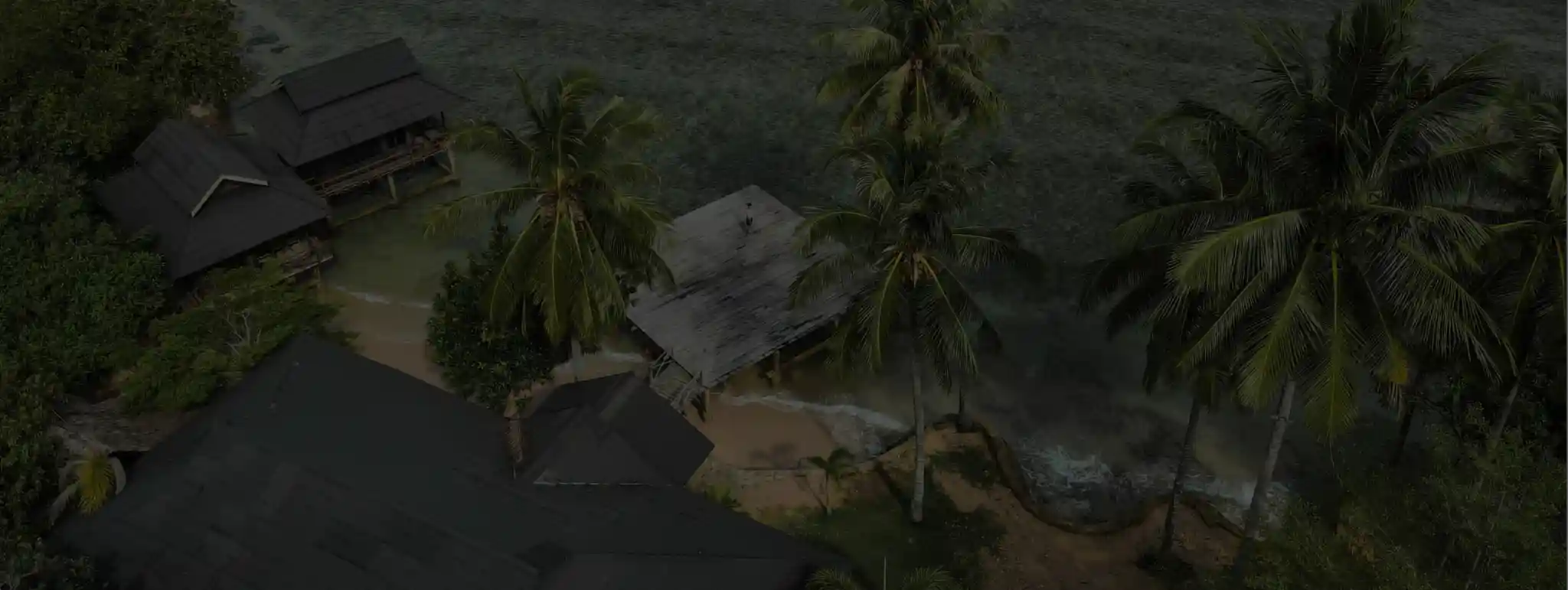 Mentawai Experience Background