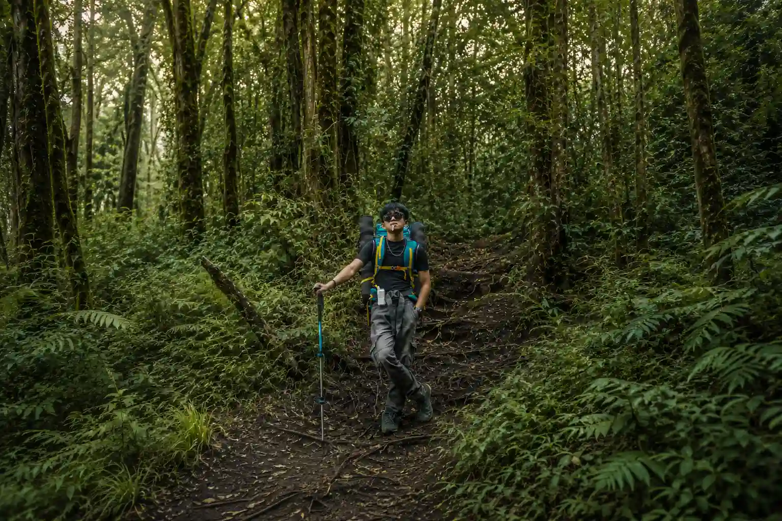 Pendaki di jalur pendakian hutan Sumatera Barat